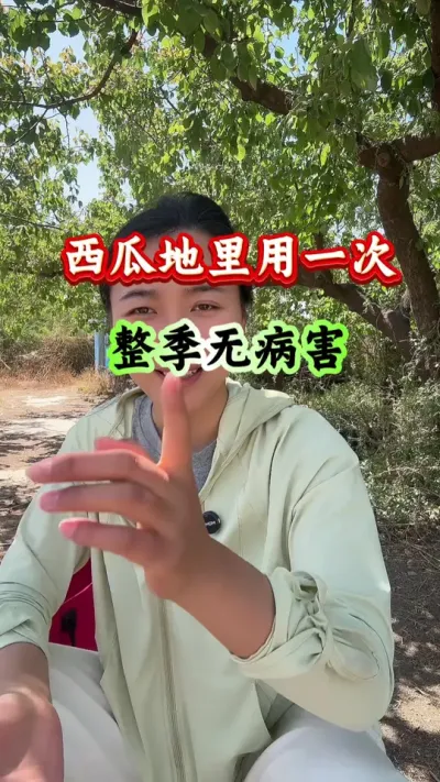 西瓜种植 西瓜地里用一次整季无病害 #西瓜管理 #病害防治 #西瓜种植