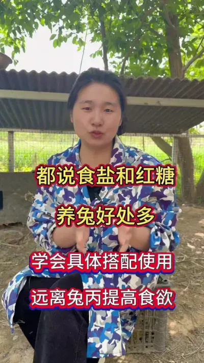 养兔关键在于管理，这样喂远离兔丙，成活率高达9成9#养兔#养兔人 #兔子养殖 #肉兔养殖 #
