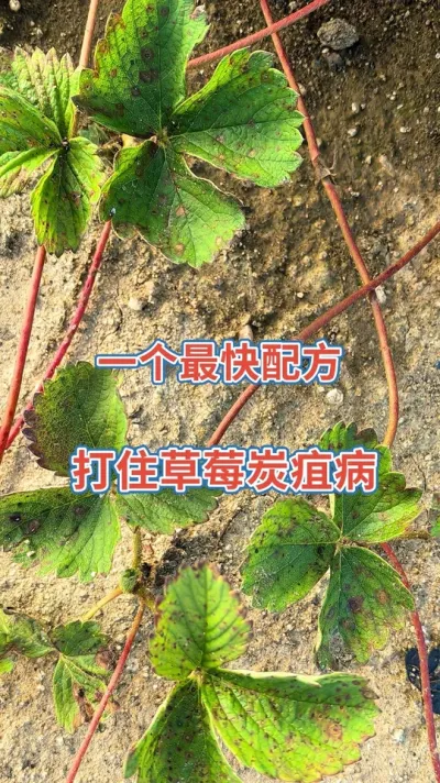 尊龙凯时 - 人生就是搏!z6com