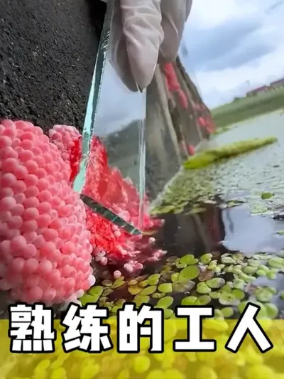 Ĺ # #ѹ #ѹƵ #Ͷ #ϵ