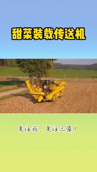 甜菜装载传送机 #甜菜 #现代农业机械 #甜菜收获机