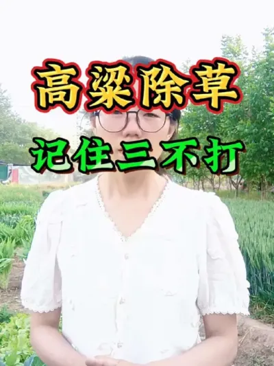 ݼעʲôʱóݼ#ݼ # #ݪֲ # #ũ