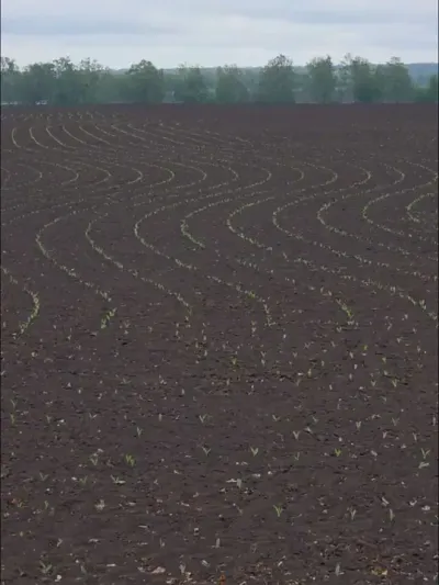 玉米🌽播种 #拖拉机导航自动驾驶 #玉米播种 #导航播种 #现代农业机械 #农机视频 @抖音小助手