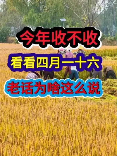 今年收不收看看四月一十六老话为啥这么说 #农业谚语 #农谚 #农谚老话 #农业种植 #三农