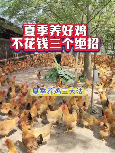 ѧǮСü##ũɢ#С##ѧ