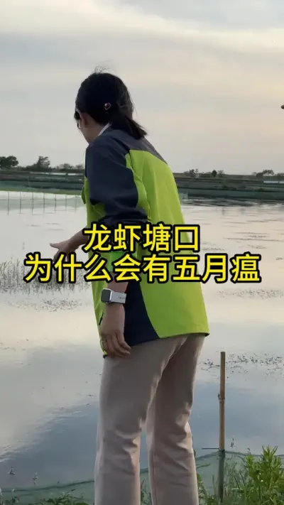 龙虾塘口为什么会有五月瘟！！！ #渔多多养殖模式 #新农人计划2025 #龙虾养殖 #大闸蟹养殖 #三农
