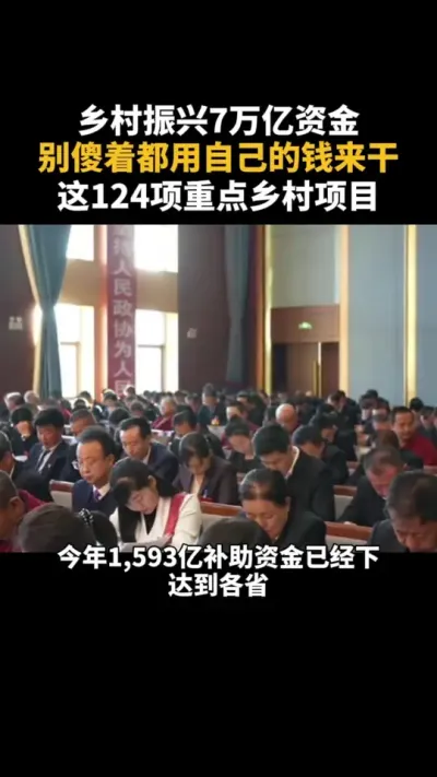2025乡村振兴别傻着都用自己的钱来干，这124项重点项目 #乡村振兴 #补贴 #乡村产业 #三农 #农村