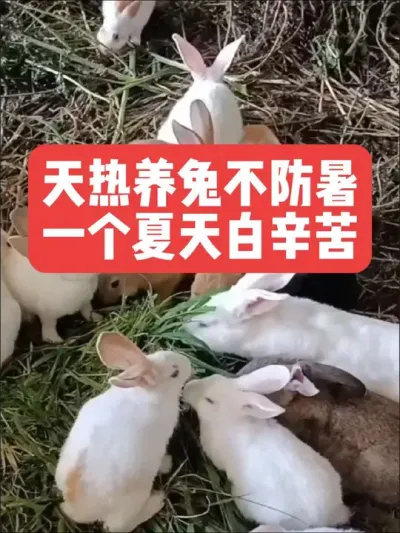 òһ ##ũ#ֳ##