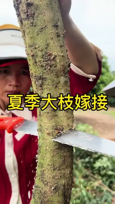 մ֦޽#޽ #ũ2025 #dou㶫 #ѧũ
