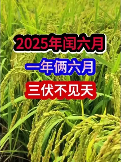 2025һ #ũҵ #ũ #ũϻ #ũҵݪֲ #ũ