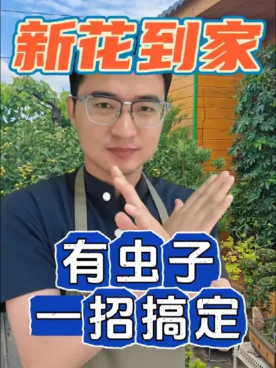 新花到家有虫子，教你一招搞定！#养花 #花卉绿植 #病虫害防治