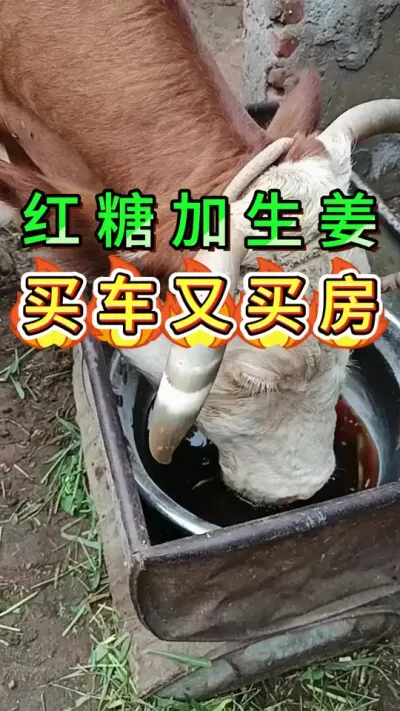 Ǽ#ţ#ũ#ţ#ֳ