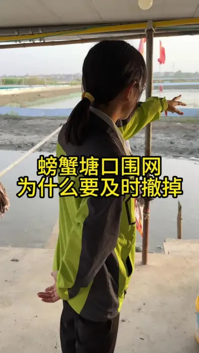 螃蟹塘口围网为什么要及时撤掉！！！ #渔多多养殖模式 #螃蟹养殖 #新农人计划2025 #三农 #水产养殖技术
