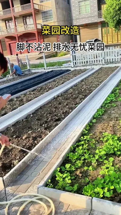 #菜园 #新农村建设 #美丽乡村建设 #我的乡村生活 #花园生活