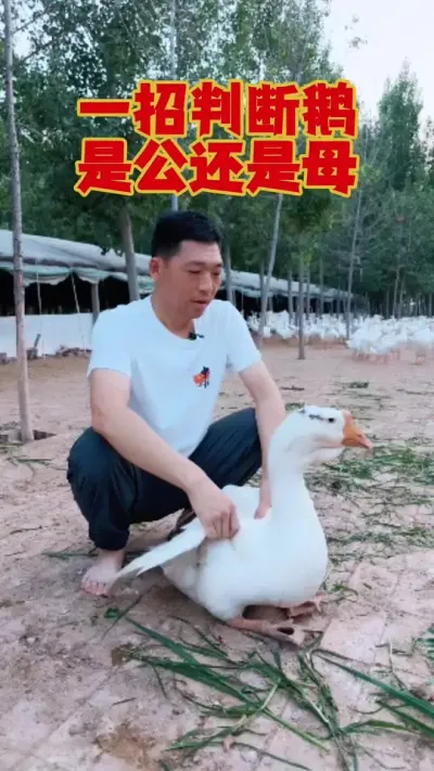 һжǹվĸ# #ʨͷ # # #