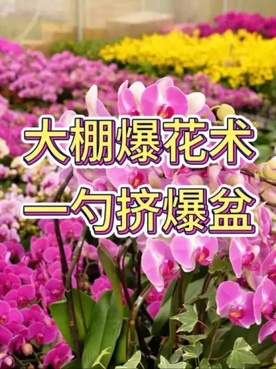 ﱬһ׼# #С֪ʶ #