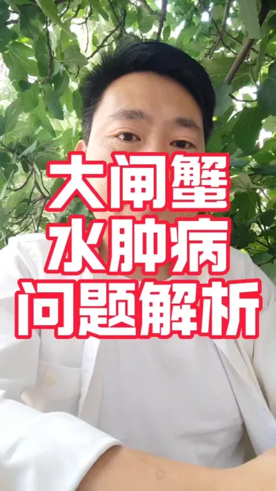大闸蟹养殖水肿病问题解析！#大闸蟹养殖#河蟹养殖#螃蟹养殖#大闸蟹#水产养殖