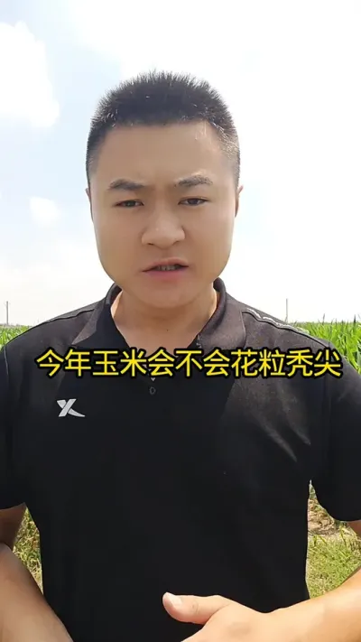今年玉米会不会花粒秃尖#病虫害防治#关注我每天分享农业知识#三农种植#玉米种植 #肥料