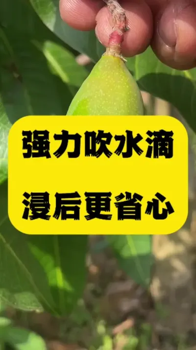 科技是就是生产力，吹一吹，浸果后更省心 #种植小技巧 #农机 #服务至上