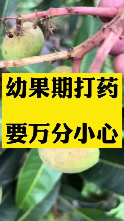 ˴󵨲²ô ÿ׹ڶ᷺˴ҩҪҩʱҩҪҩ˳ҩѡÿһڶɻһܿѧϽũ²