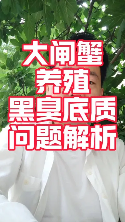 大闸蟹底质黑臭问题解析#大闸蟹养殖#河蟹养殖#螃蟹养殖#大闸蟹#水产养殖