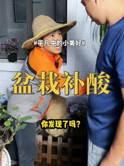 盆栽补酸 #养花 #绿植 #盆栽 在家养的花总是容易出问题，是因为缺酸应激
