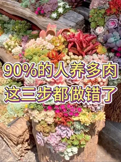 90%# # #ֲ #С֪ʶ #ֲ