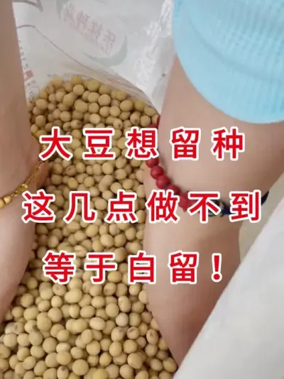 大豆留种有讲究！ #三农流量扶持计划 #抖音助农 #三农小知识 #农业植保知识分享 #农业种植