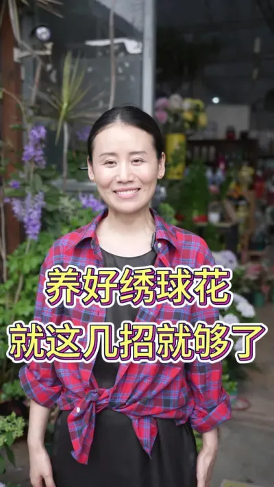 养好绣球花，这几招就够了#绣球花 #绣球花的快乐 #养花小知识 #养花人的乐趣 #花卉绿植