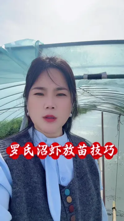 罗氏沼虾放苗技巧#南美白对虾养殖 #青虾养殖 #罗氏虾养殖