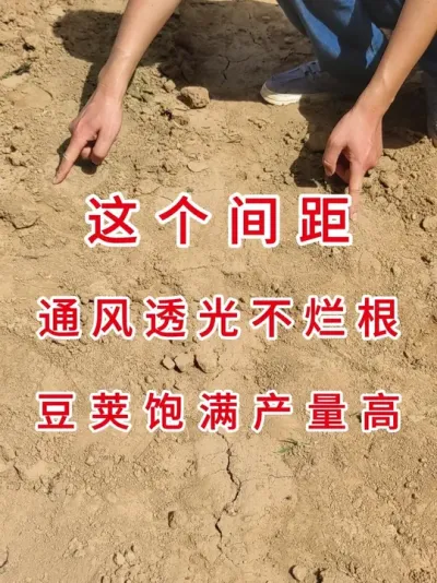 播种机参数这样调，省种又高产！ #三农流量扶持计划 #抖音助农 #大豆种植 #产量特别高 #农业种植