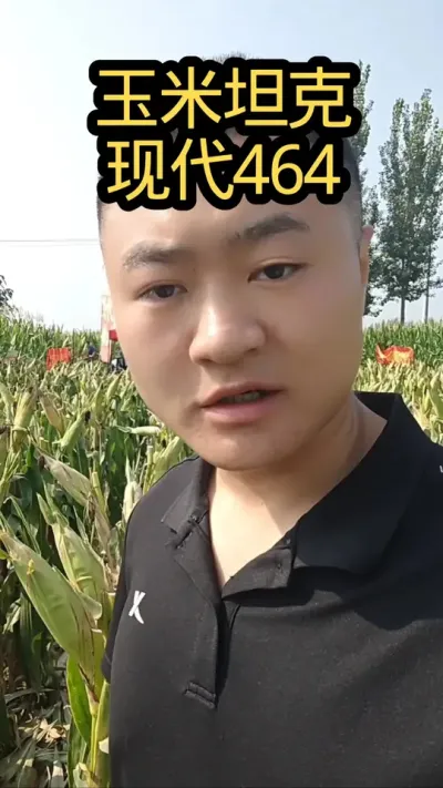 好玉米#病虫害防治#关注我每天分享农业知识#肥料#玉米种植