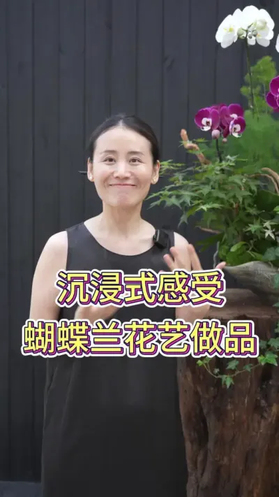 沉浸式感受蝴蝶兰花艺作品#蝴蝶兰 #蝴蝶兰花束 #养花小知识 #养花人的乐趣 #花卉绿植