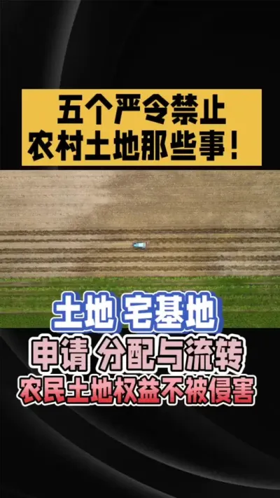 ũȨ棡