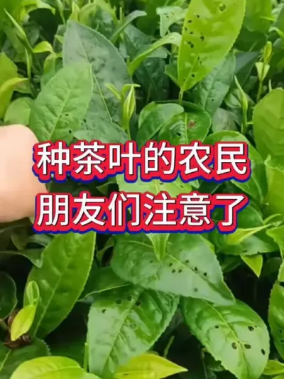 #ݪֲ #԰ #溦 #ѿ#ũũ ԰
