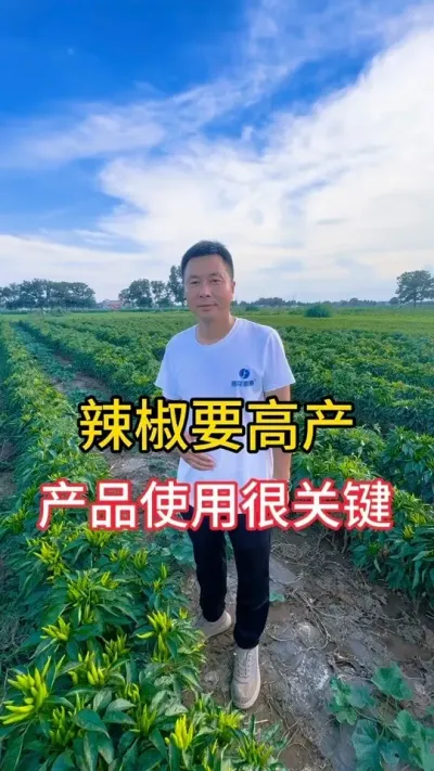 辣椒、西红柿、茄子等作物高产的方法#种植小技巧 #抖音助农扶农 #关注三农服务百姓 #三农流量扶持计划