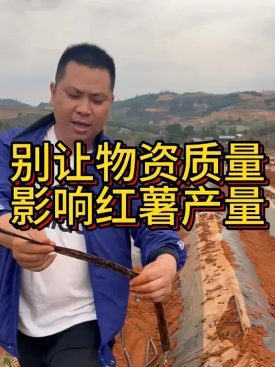 滴管的质量不行我们也要及时发现#农业种植 #红薯种植 #新农人创业 #农业技术推广 #红薯种植技术