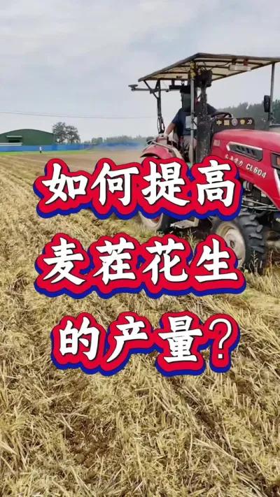 绨Ĳ#ݪֲ #߲ #ֻ #ݪֲ #߲ݪֲ