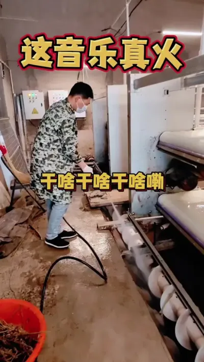 养鹅的钱真难挣！等我有钱了，就不养鹅了！#养鹅 #养鹅技术 #鹅苗 #狮头鹅 #养鹅人