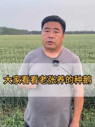 #三农 #每天分享养殖技术和经验 #养鹅技术分享