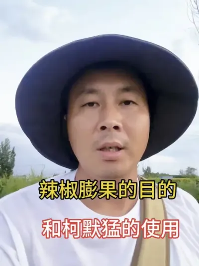 柯默猛膨果拉长一举两得#农业知识分享服务三农 #农业种植技术 #辣椒种植技术#抖音助农扶农 #三农流量扶持计划