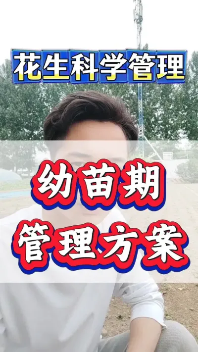 花生科学管理技术，幼苗期管理七要点。#花生种植 #花生高产 #种花生 #花生种植管理技术 #花生高产种植