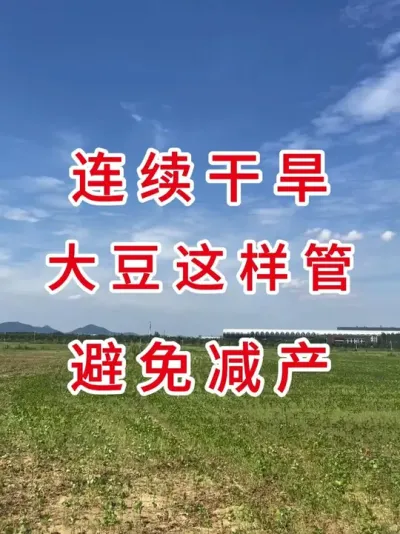 大豆播种遇干旱？这样做出苗率翻倍 #三农流量扶持计划 #抖音助农 #大豆种植 #农业植保知识分享 #农业种植技术