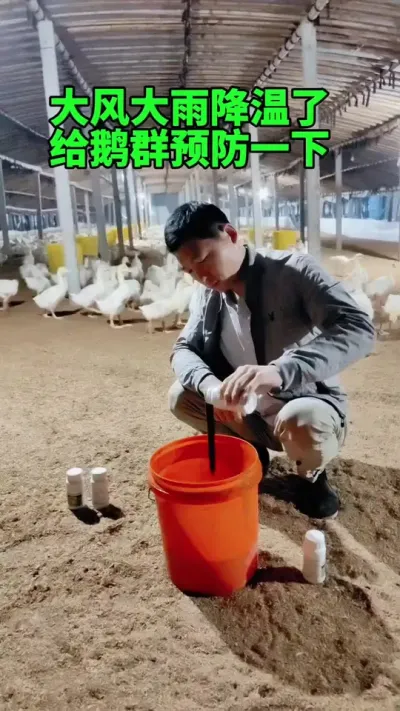 δ´ȺԤһ# # #ʨͷ # #
