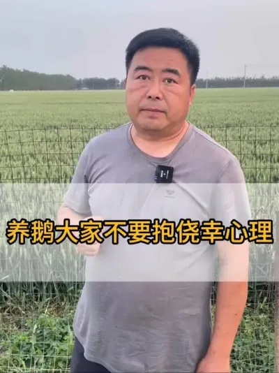 #三农 #养鹅技术分享 #科学养鹅