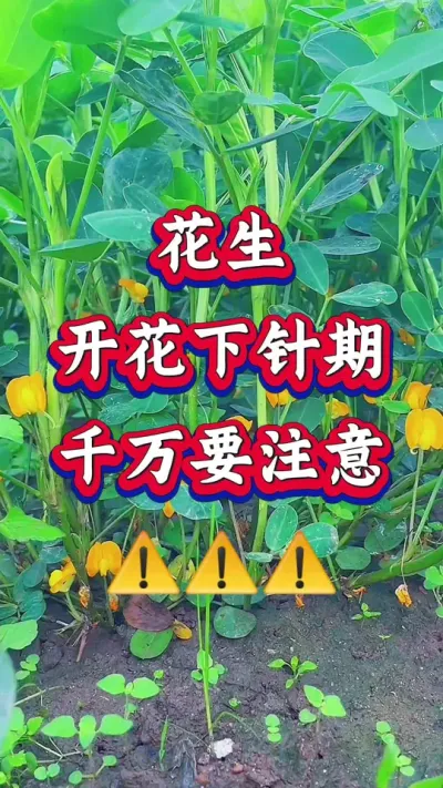 ŵ88(й)ٷվ