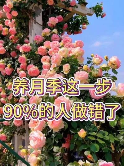 ¼һ90%#¼ #¼ #ֲ #С֪ʶ #С֪ʶ