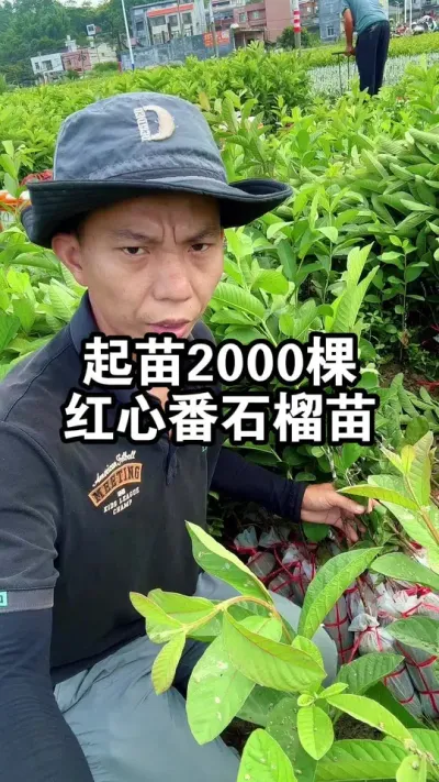2000úķʯ㿴ʲôԭ #ķʯ #ʯ #繩Ӧ
