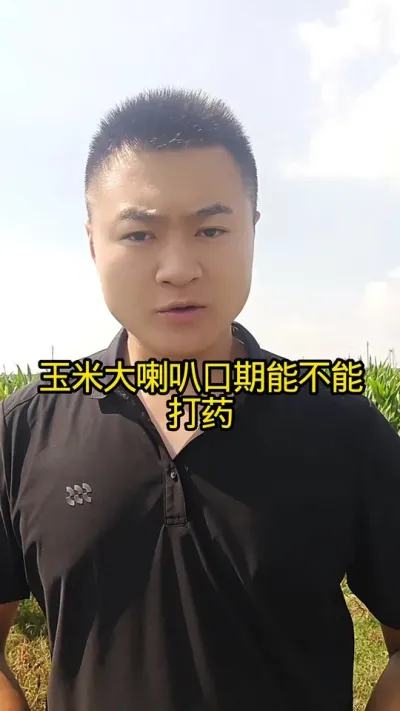 玉米的大喇叭口期可以打药#三农种植 #病虫害防治#关注我每天分享农业知识#玉米种植#肥料