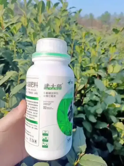 #抖音助农扶农 #茶树种植技术与管理 #茶树移栽如何提高成活率